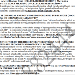 A level Cell Notes Biology